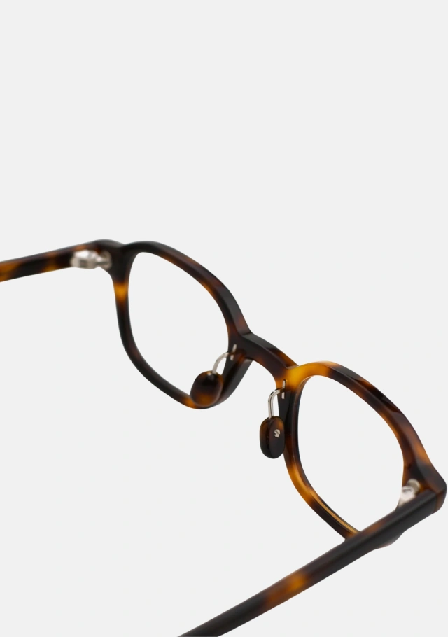 Meraki Tortoise