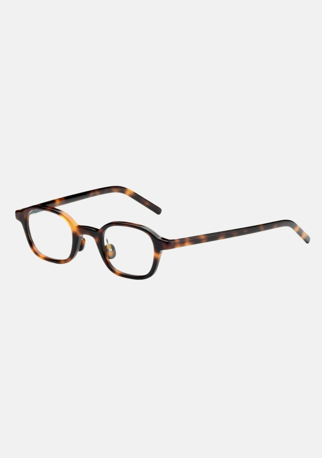 Meraki Tortoise